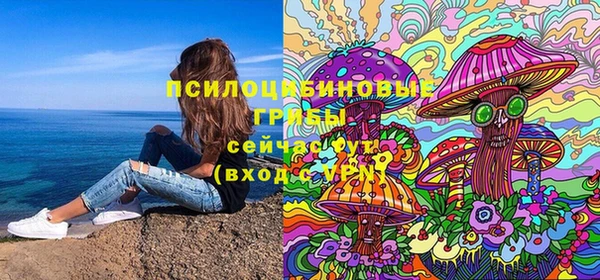 стафф Володарск