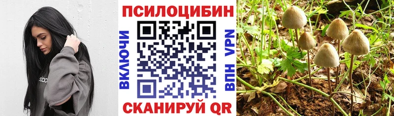 Псилоцибиновые грибы Cubensis  Камешково 